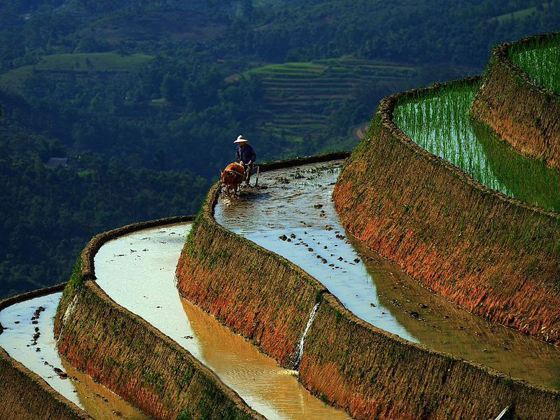 Tổng quan du lịch SaPa 